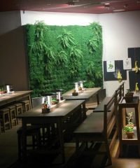 Ресторан «Vapiano»