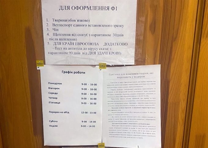 Міська клініка дрібних тварин