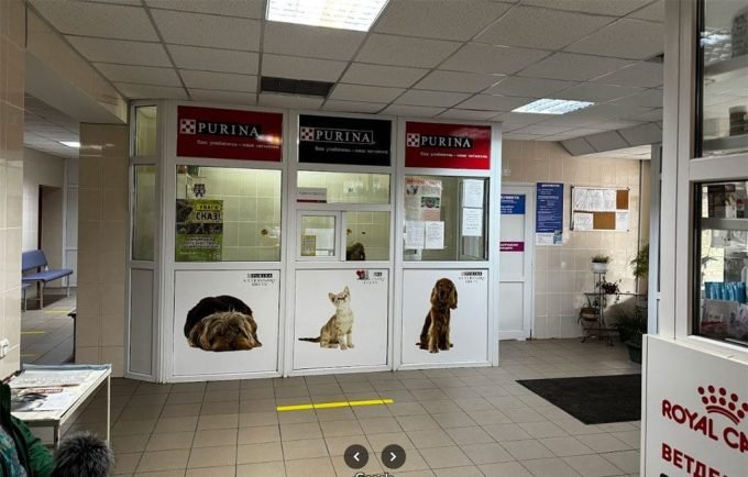 Міська клініка дрібних тварин