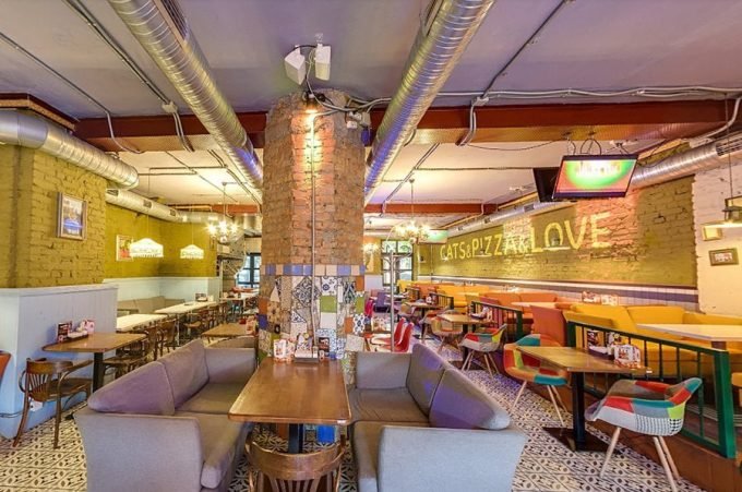 Mister Cat Шулявка 2 - интерьер