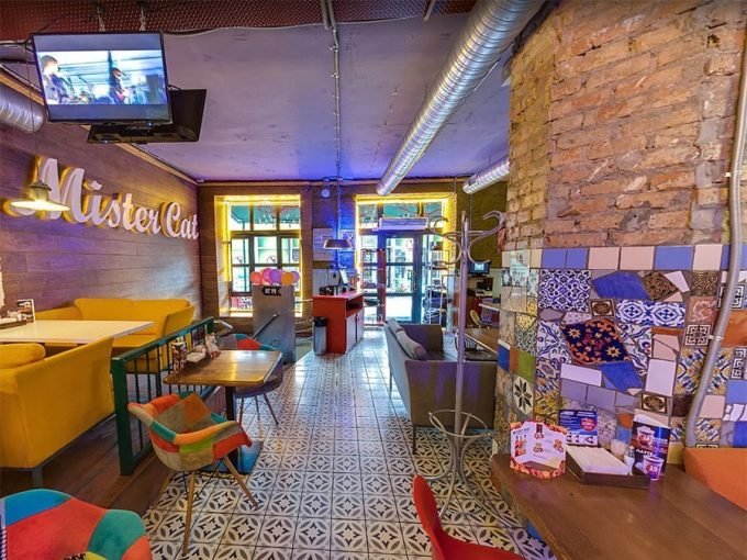 Ресторан Mister Cat Шулявка 2 - интерьер