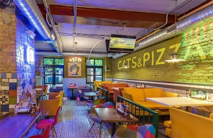 Mister Cat Шулявка 2 - интерьер пиццерии